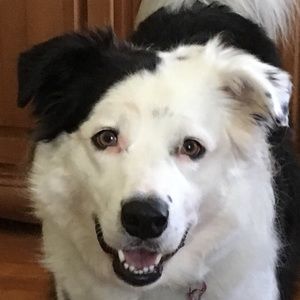 Meet your Posher, Patti